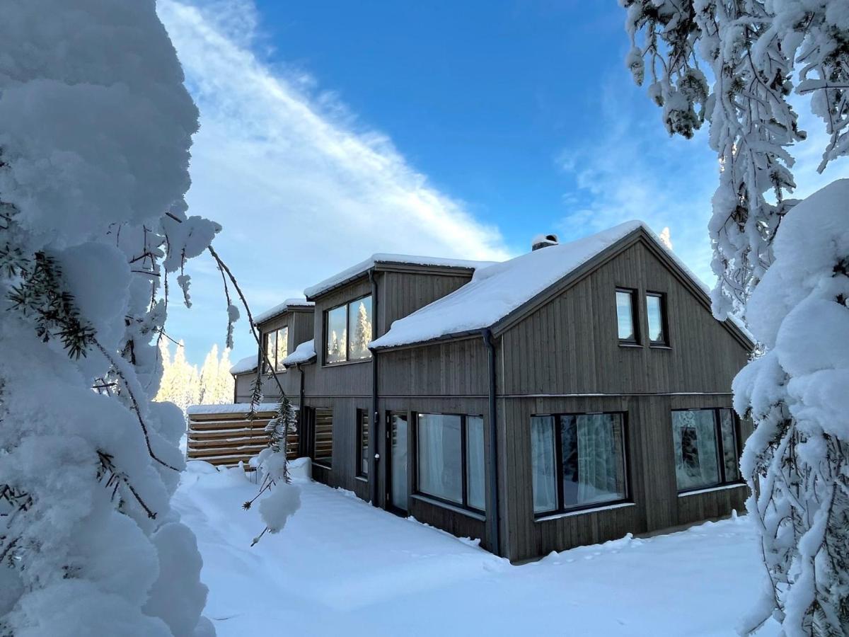 Vila Martebaecken 19 Sälen Exteriér fotografie