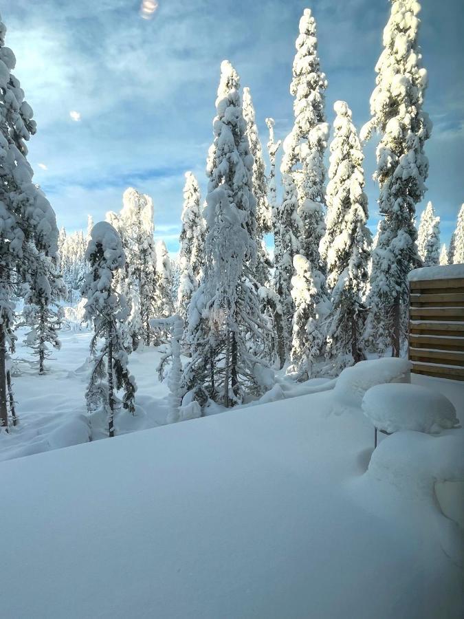 Vila Martebaecken 19 Sälen Exteriér fotografie